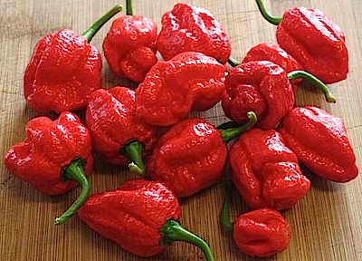 7 Pot Chile Pepper Seeds