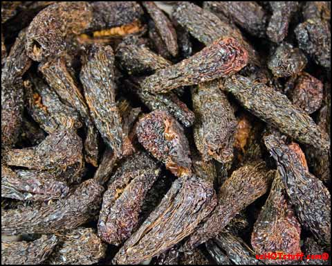 Chipotle Peppers