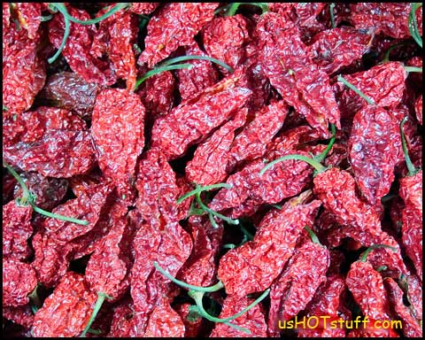 Naga Jolokia Dried Chiles