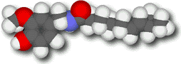 Capsaicin molecule