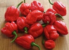 7 Pot/Pod Chile Pepper
      Seeds